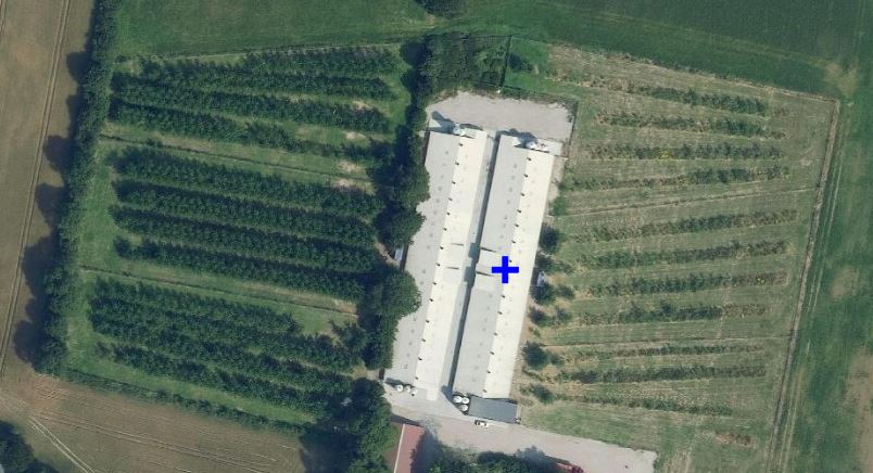 Det er i denne bygning, at kyllingerne anbefalet af Dyrenes Beskyttelse bor.